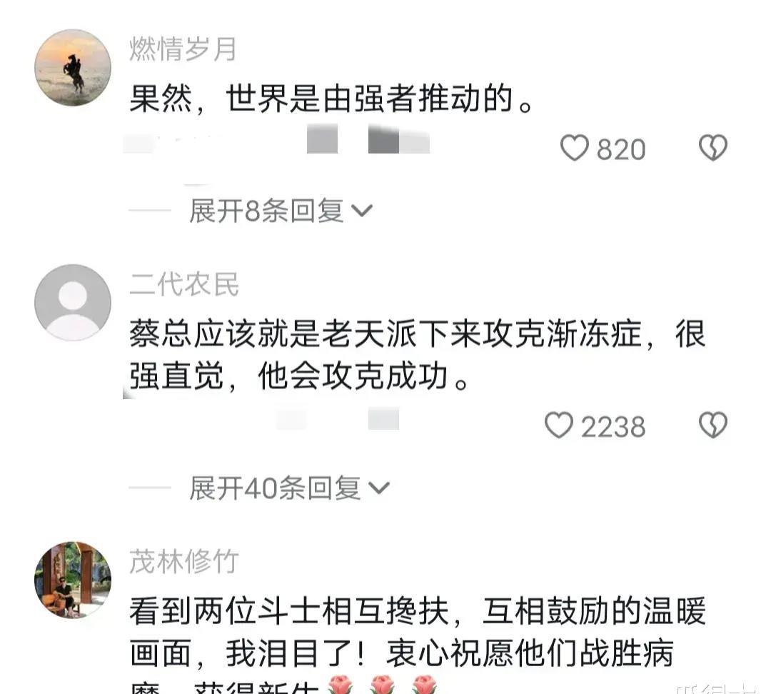 蔡磊与叶檀对话文字版,蔡磊叶檀是夫妻关系吗