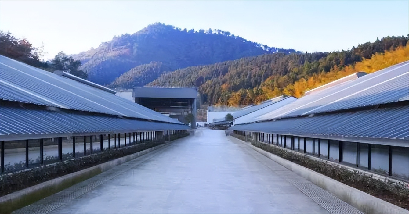 网易的养猪场现在怎么样了,网易养猪场现在怎么样了2020年