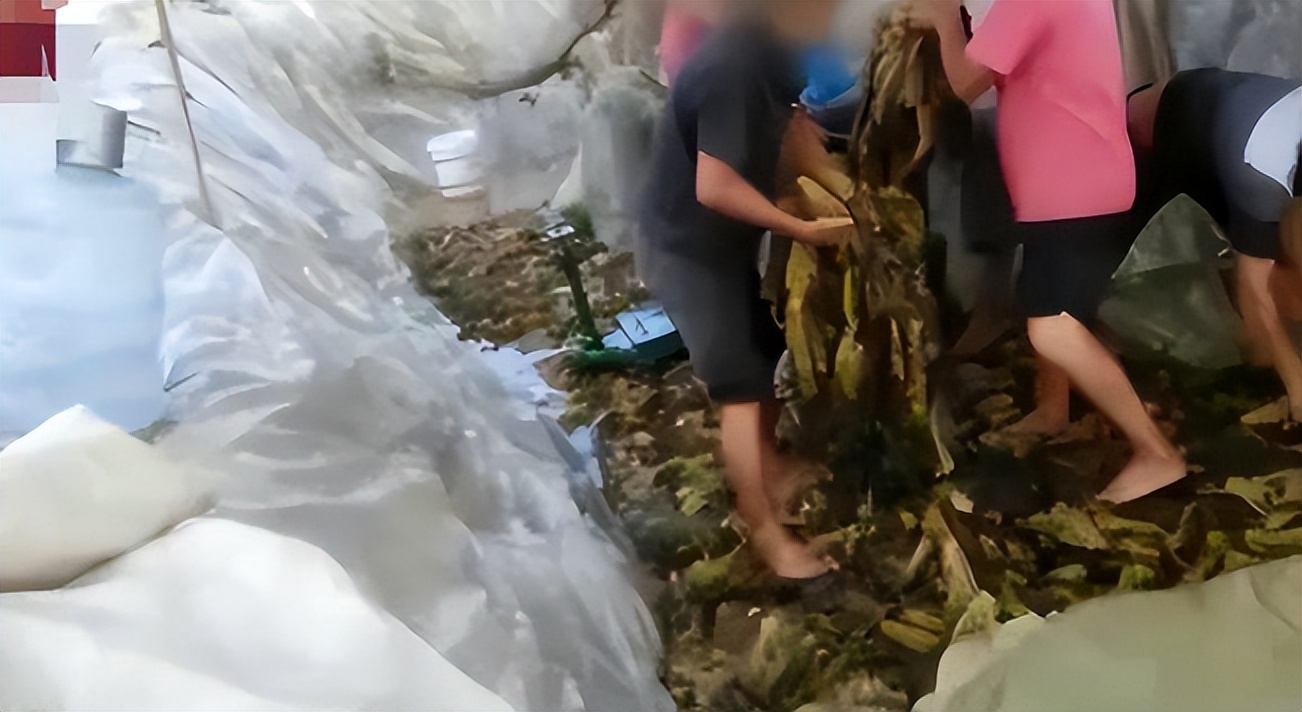 比酸菜牛肉面更恶心的东西,老坛酸菜到底有多恶心