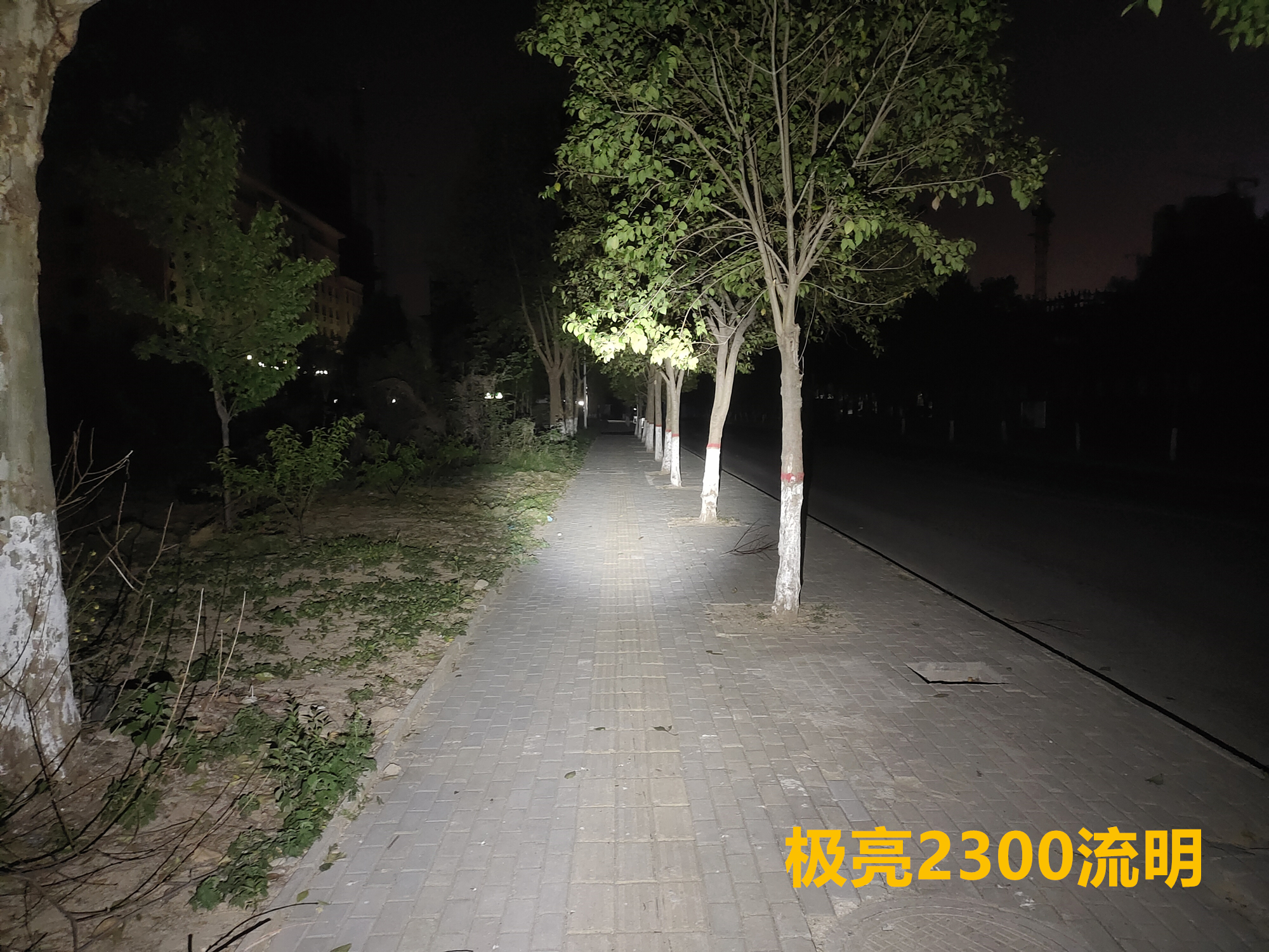 鍌查浄warrior3s,鍌查浄姝﹀＋warrior3s