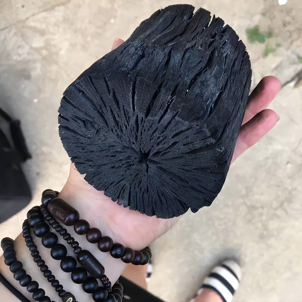 屁屁竟然也可以用来画画，网友：画面太美我不敢看