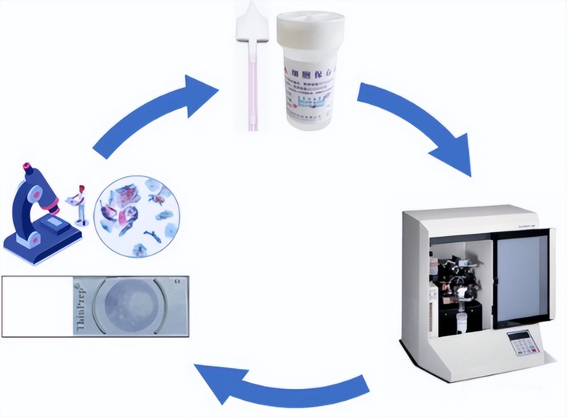 掌健识健康百科,宫颈hpv感染最新指南