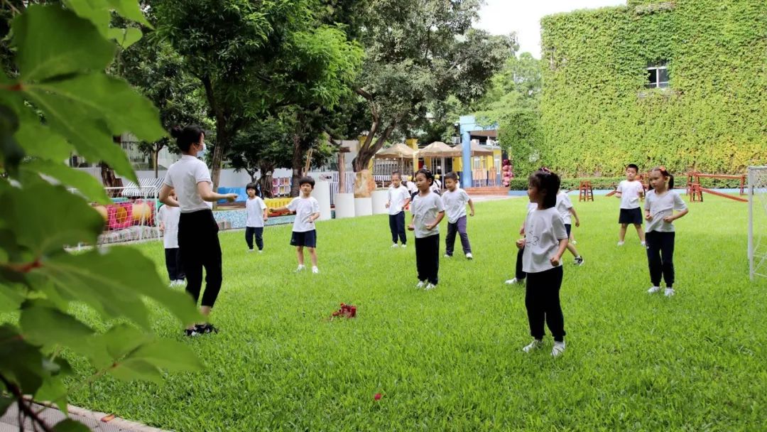 宝安教育怎么样,南山的教育和宝安教育的区别