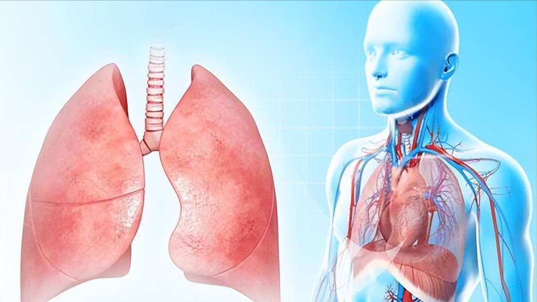 肺纹理增多可能是什么病,肺纹理增多主要是哪种病引起的