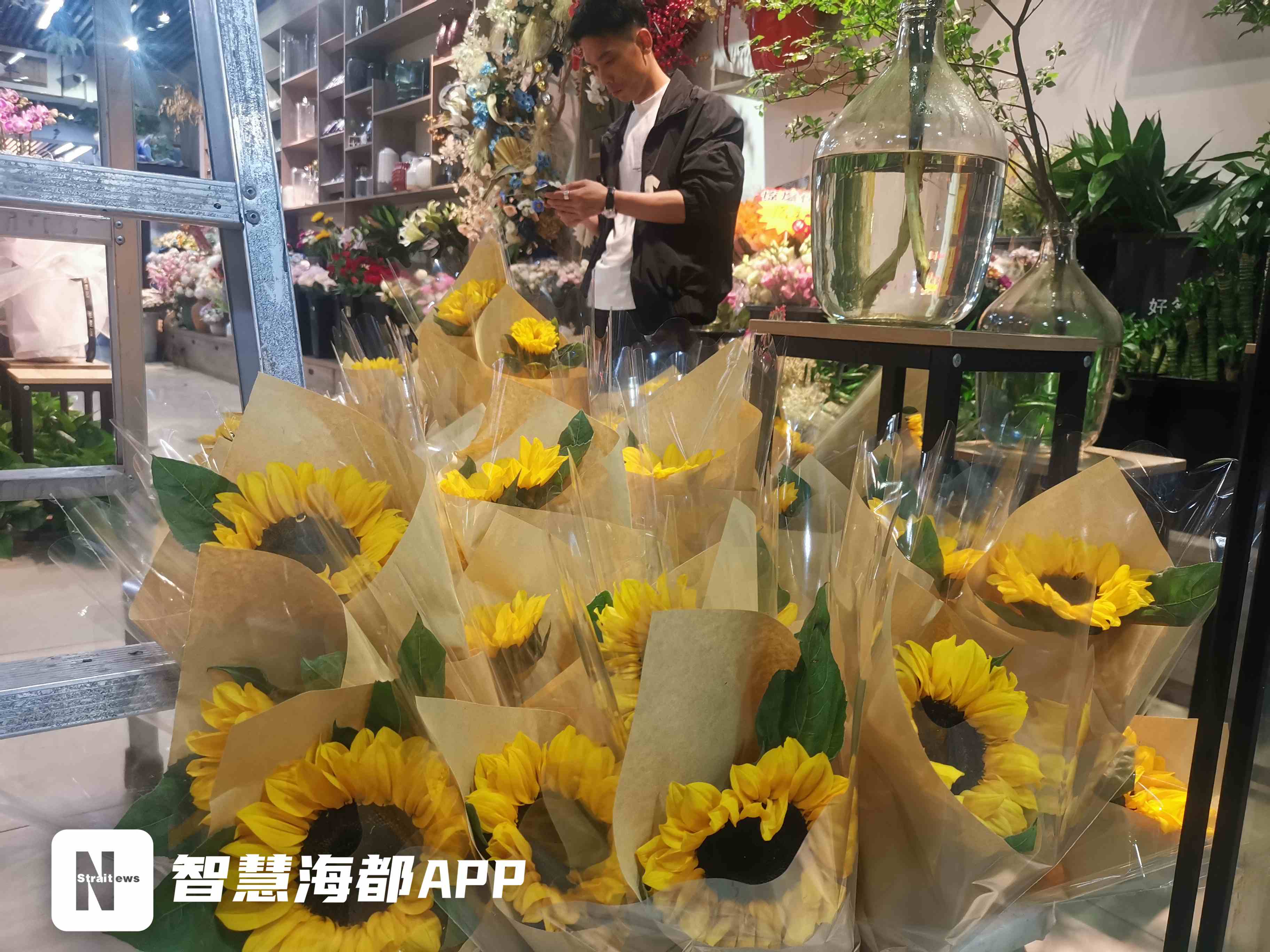 一举夺“葵”！高考季，福州花市向日葵热卖