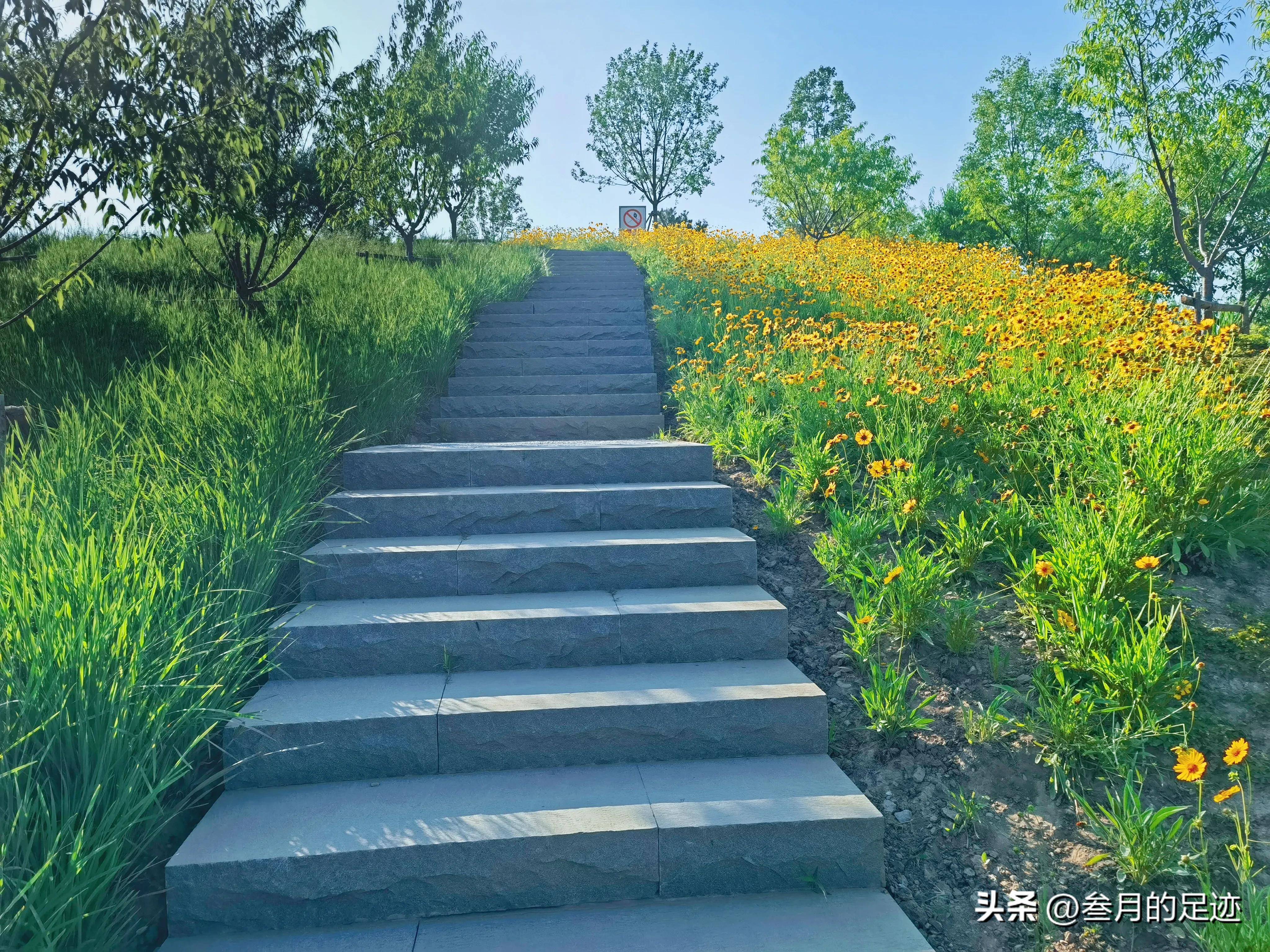 北京有哪些免费的大型公园,北京有铁道的公园