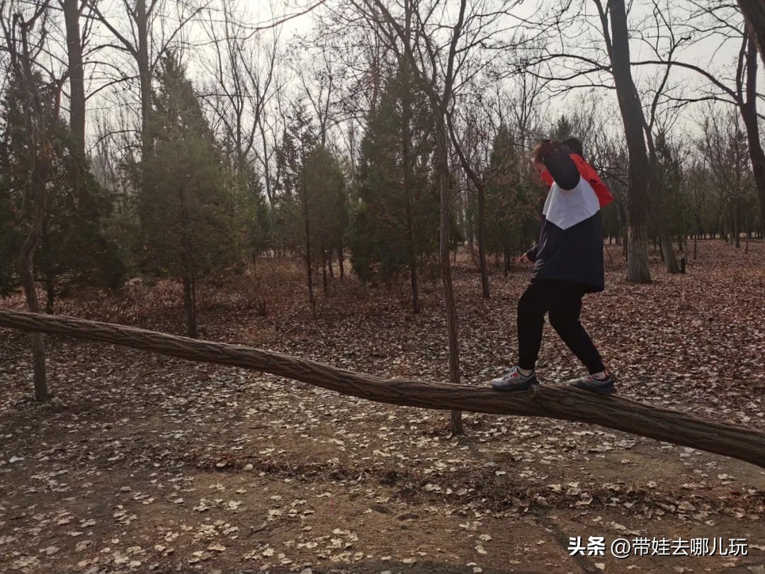 骑行国家森林公园,徒步骑行森林公园