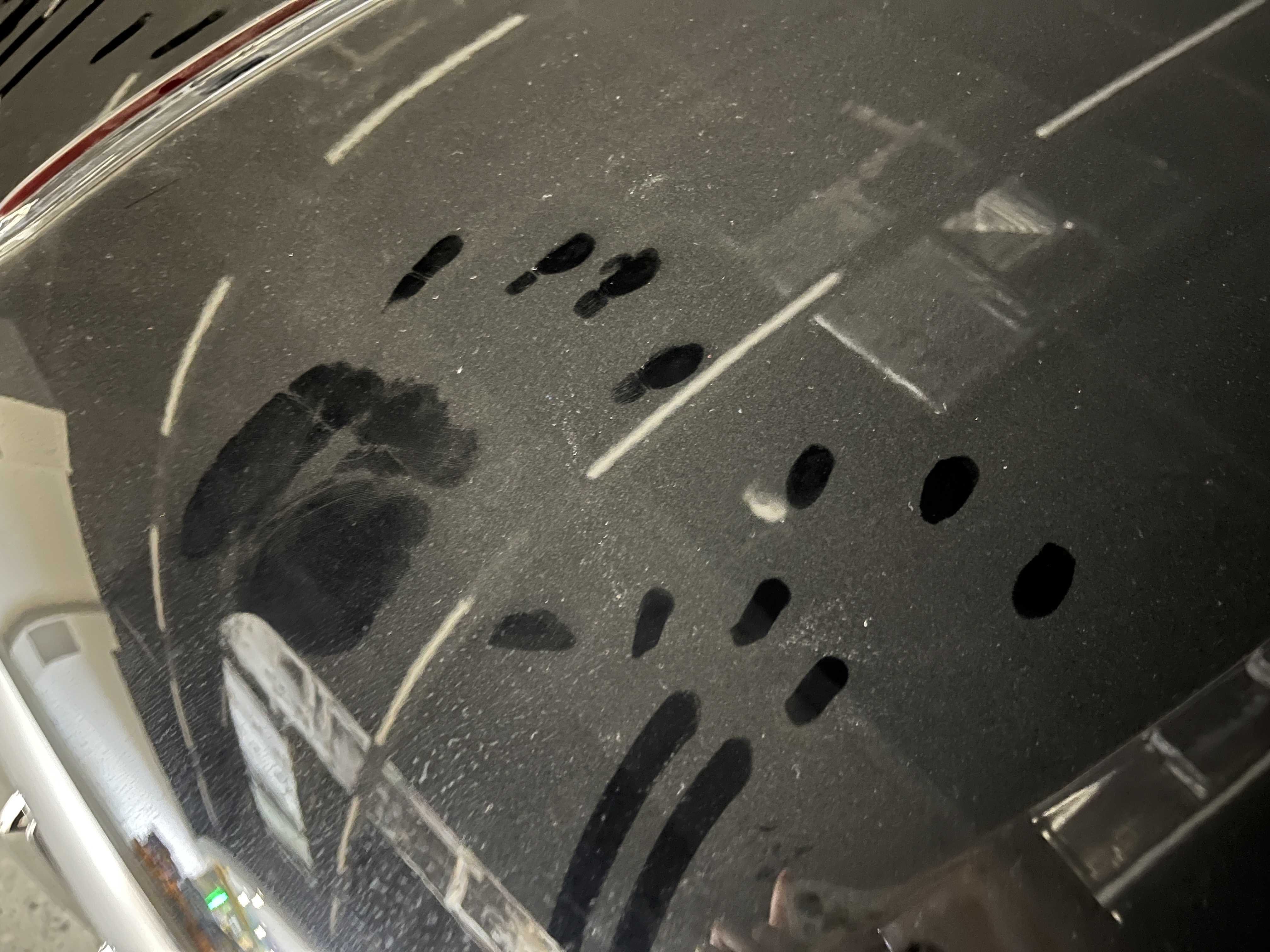 濂ョ壒鑾辨柉寰愬窞璐炬豹,璐炬豹鍚炬偊绻佸崕鐜扮姸