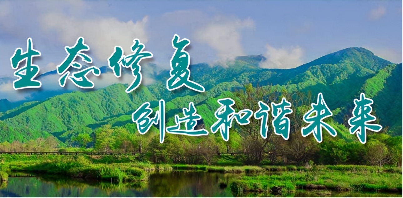 冠中生态2021年报预测,冠中生态后期走势如何