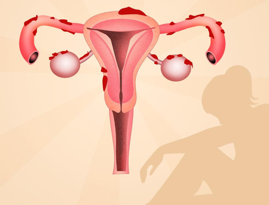 D3鲜胚：8、9、10细胞潜力对比！养出好胚胎，夫妻俩这样做