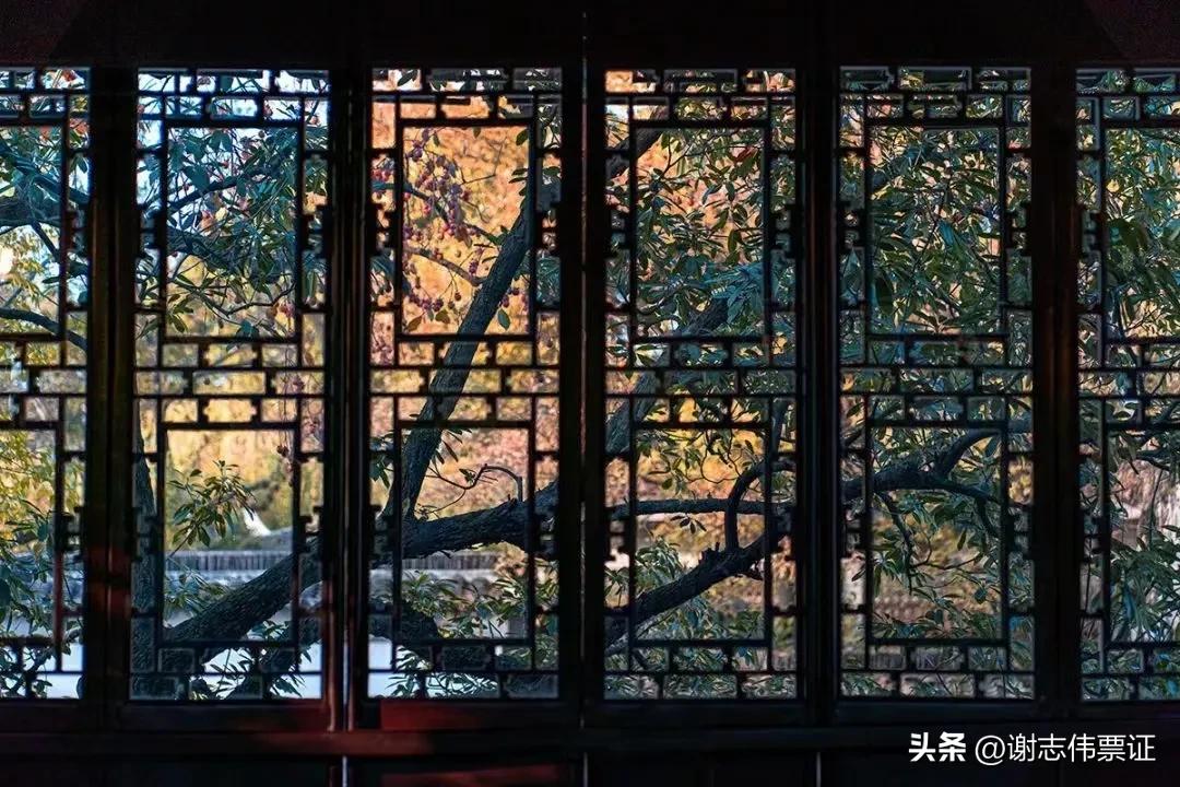 苏州古典园林各个景观特色,苏州园林风景美感极致