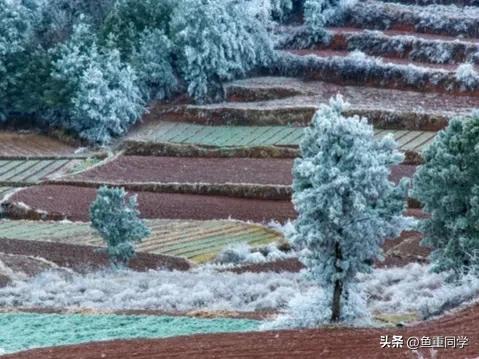 霜降寓意着天气逐渐变冷,今年霜降日是什么预兆