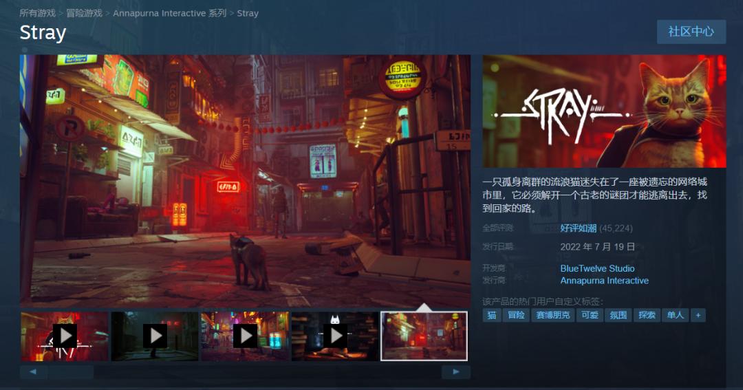 谁不想当只猫猫呢?值得一试的猫咪模拟器《Stray》