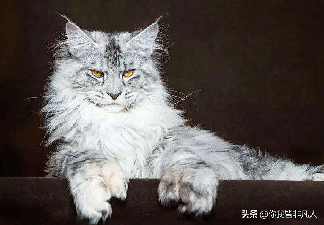 photoshop抠图步骤与方法,photoshop怎么抠图详细教程