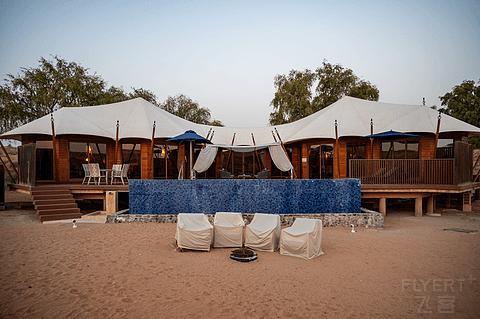 阿联酋丽思卡尔顿,阿联酋野奢帐篷