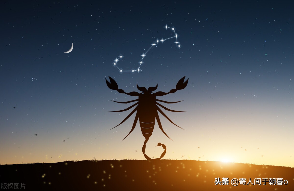 玫瑰星座和金夫人星座配对,土象星座配对是什么星座的