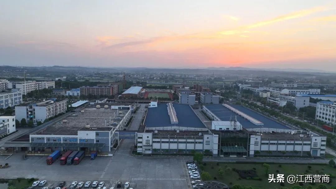 吉安县：激活发展动能助力企业“老树发新枝”