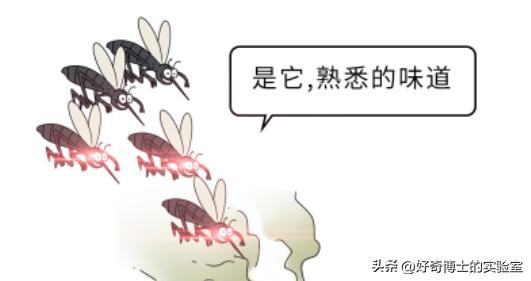 为什么蚊子只盯着你咬？有这几个特点的人，夏天要当心了！