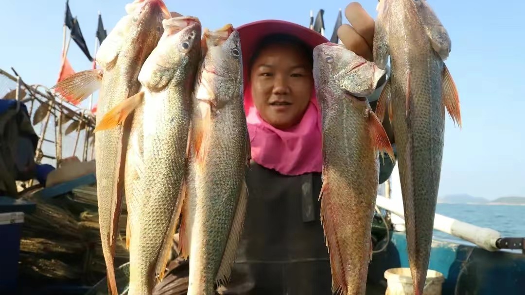 赶海怎么才能有收益,赶海的都是怎么赚钱
