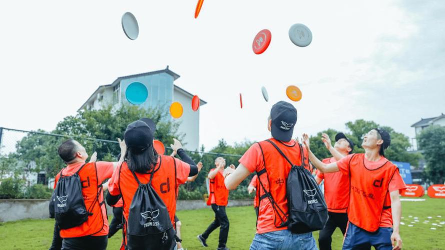 为什么飞盘这么不受欢迎,为什么有人反感飞盘