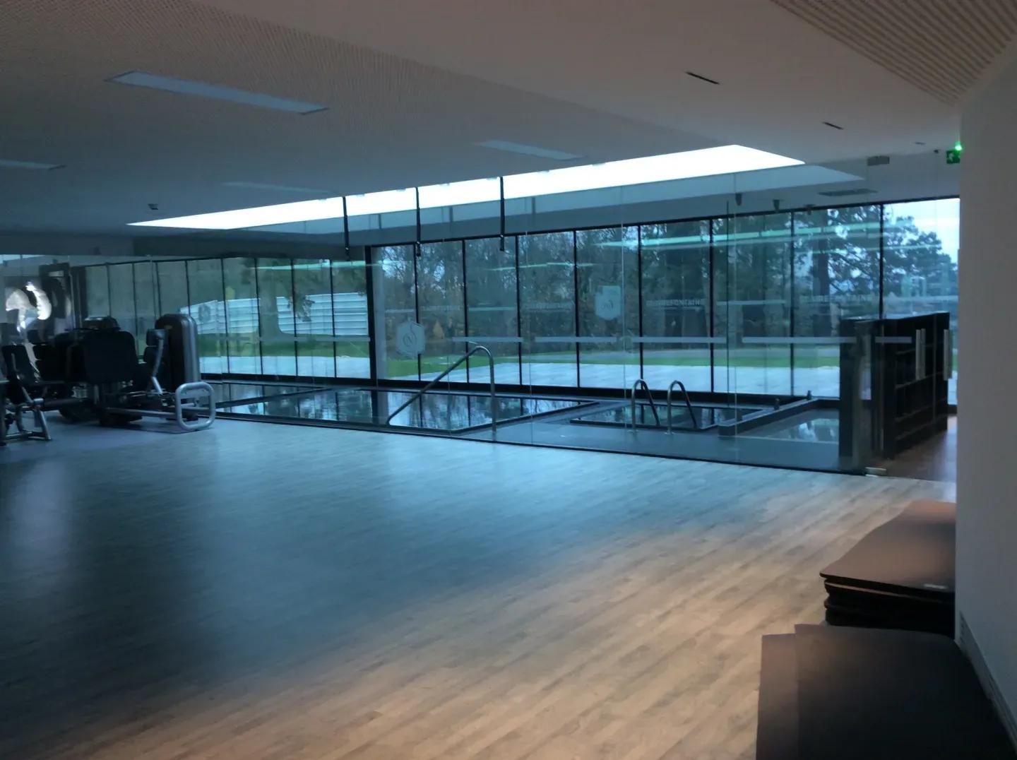 法国足球真正的力量,法国足球实力