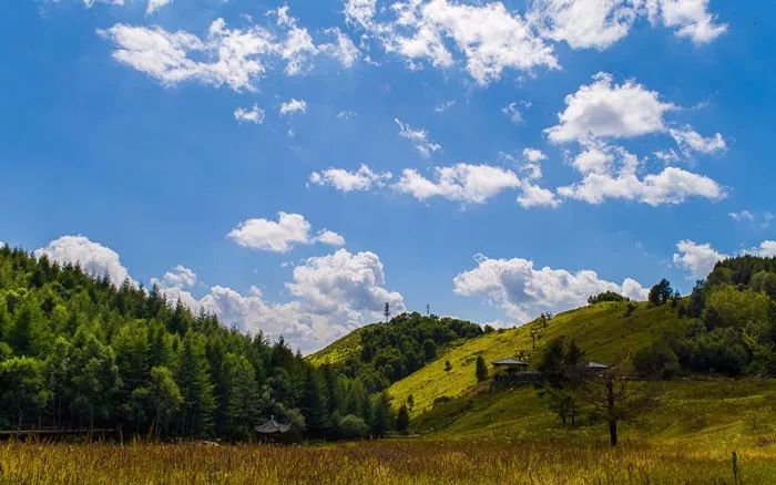 五一适合去的天然氧吧,感受天然氧吧的气息和美景