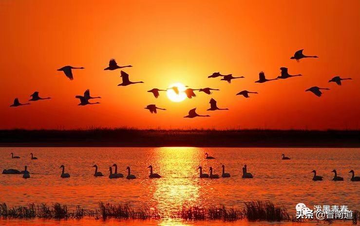 黄河三部曲黄河颂,黄河颂黄河大合唱