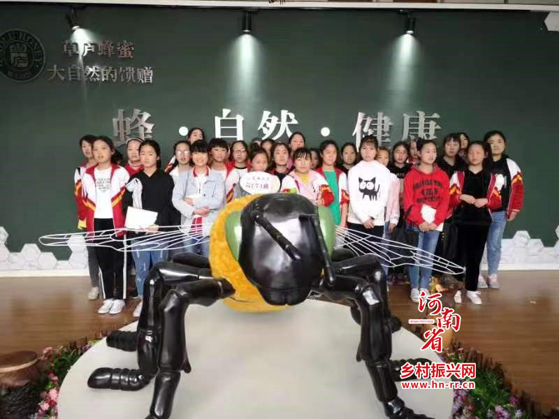 方城县龙城小学2021年招生方案,方城龙城小学教学质量