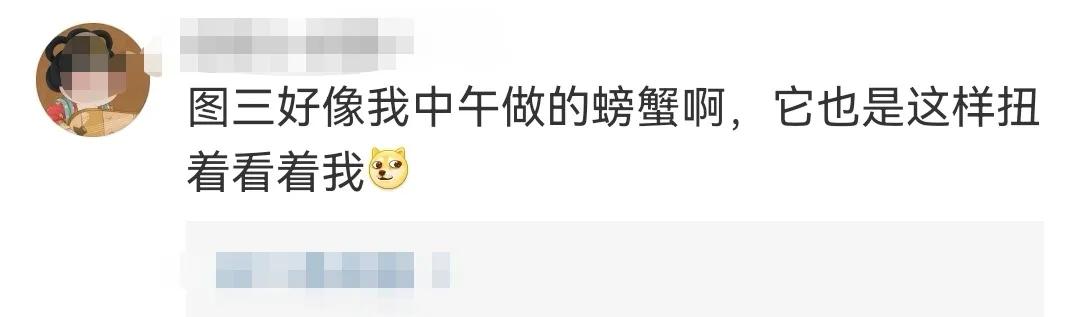 早期的周冬雨和早期刘昊然,周冬雨刘昊然演了什么电影