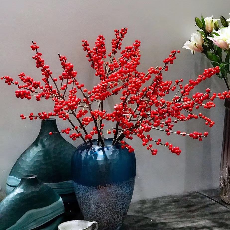 好养的贵族花,4种花便宜好养又漂亮