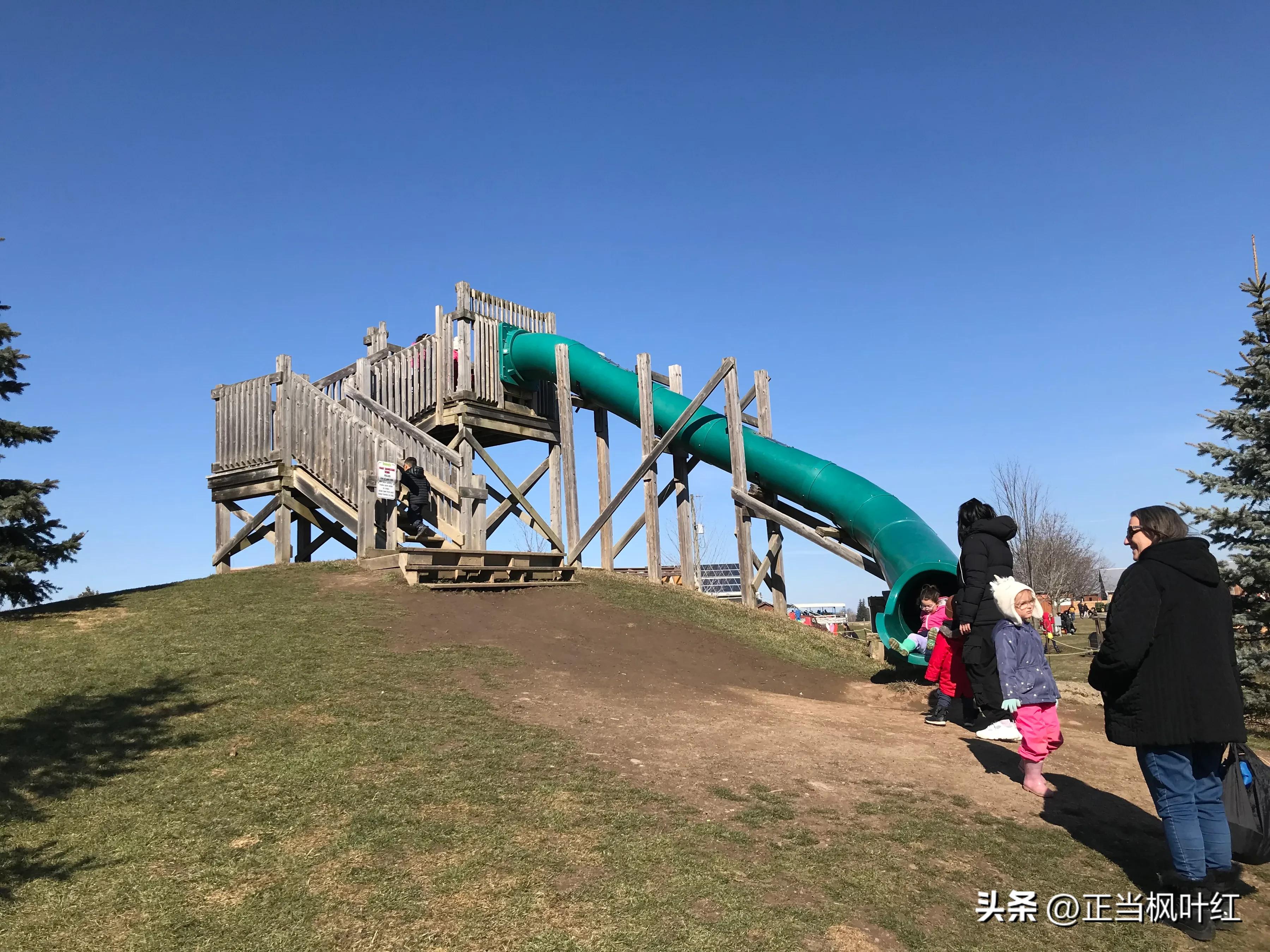 中国姥姥回国,中国姥姥真实一天视频