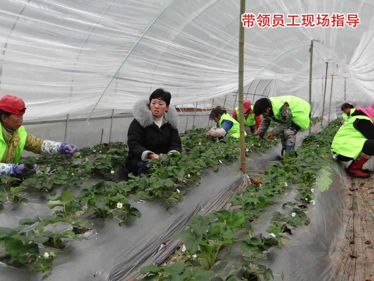 学习身边榜样丨蒋红英:商超股权分给员工,带领乡亲继续致富