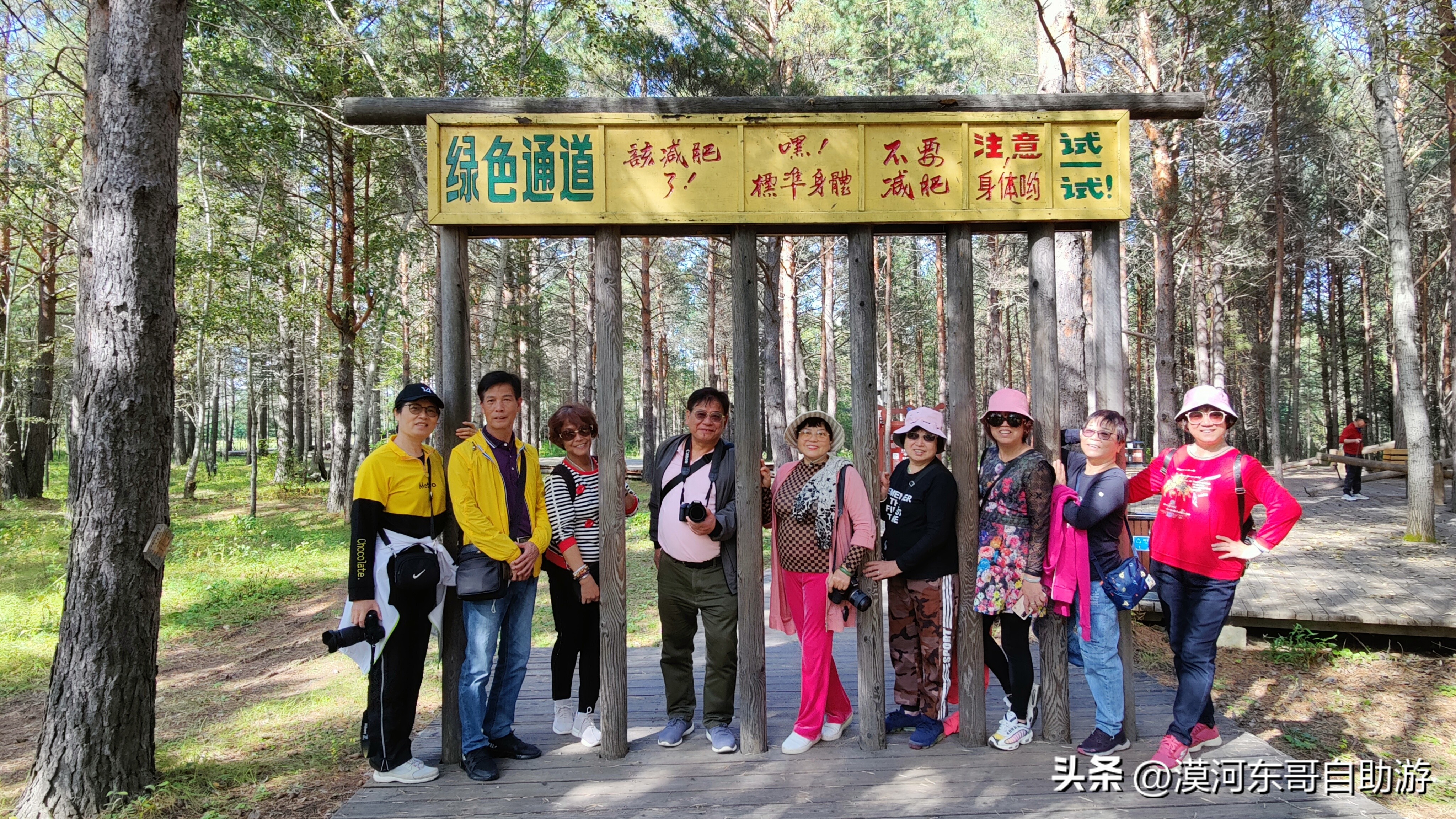 带你去看杜鹃花完整版,漠河旅游攻略一览表