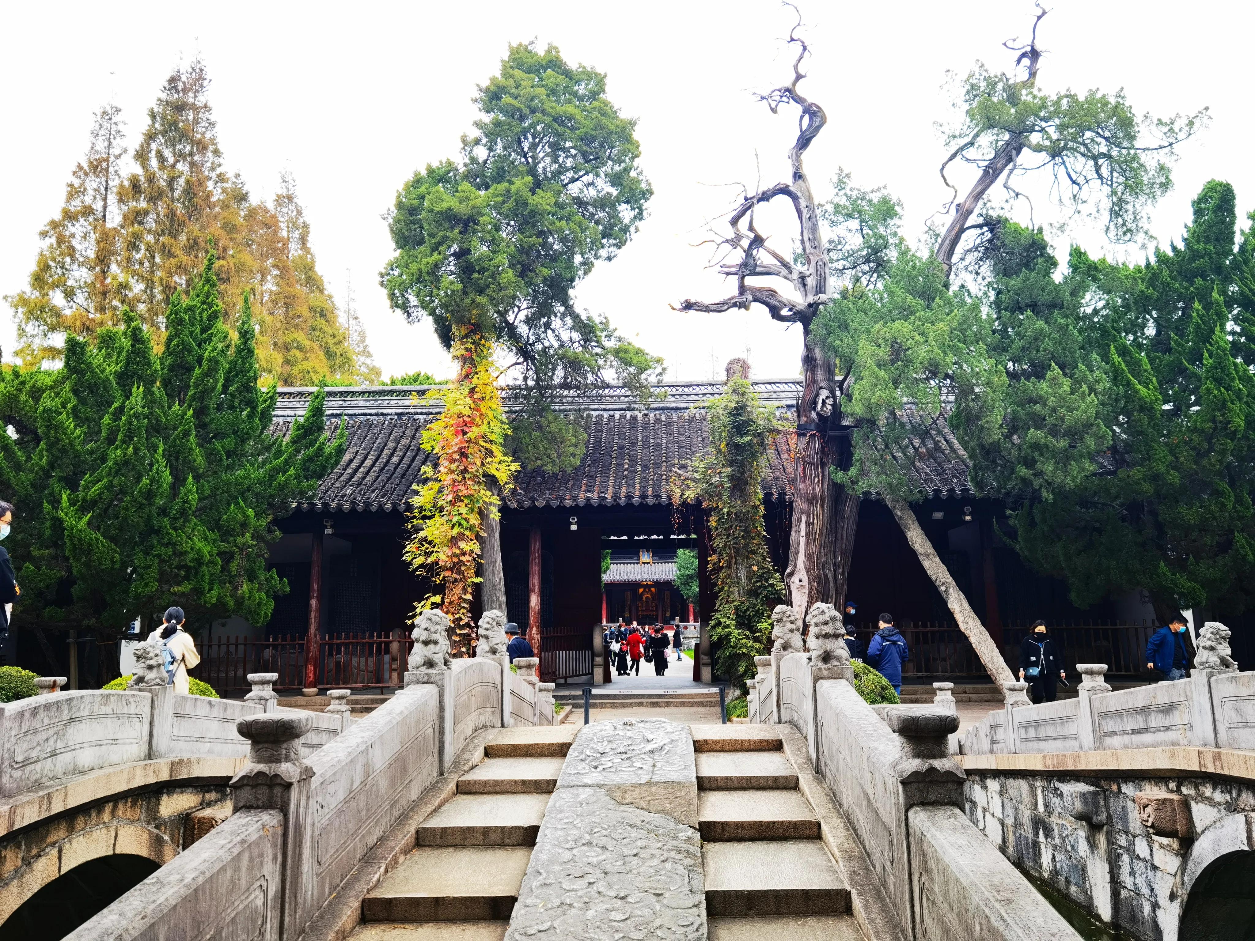 嘉定景点攻略亲子游,嘉定景区一日游