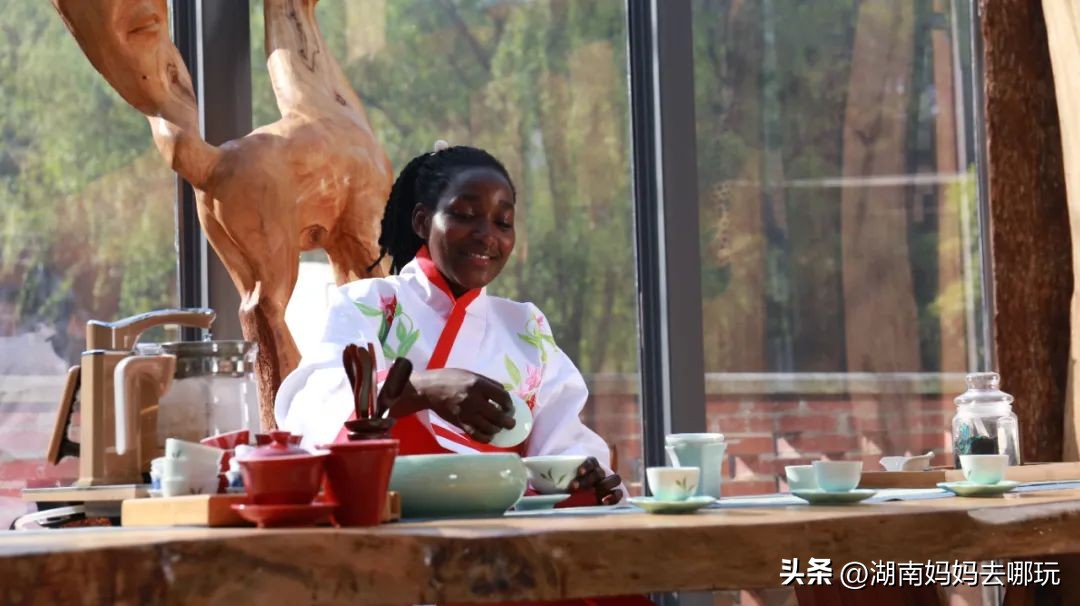 出发!长沙家门口的“非洲遛娃乐园”,小朋友最喜欢的长沙乐园!