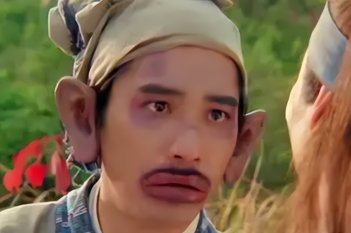 喂过一次大连海鸥，人类就要为自己的弱小羞愧