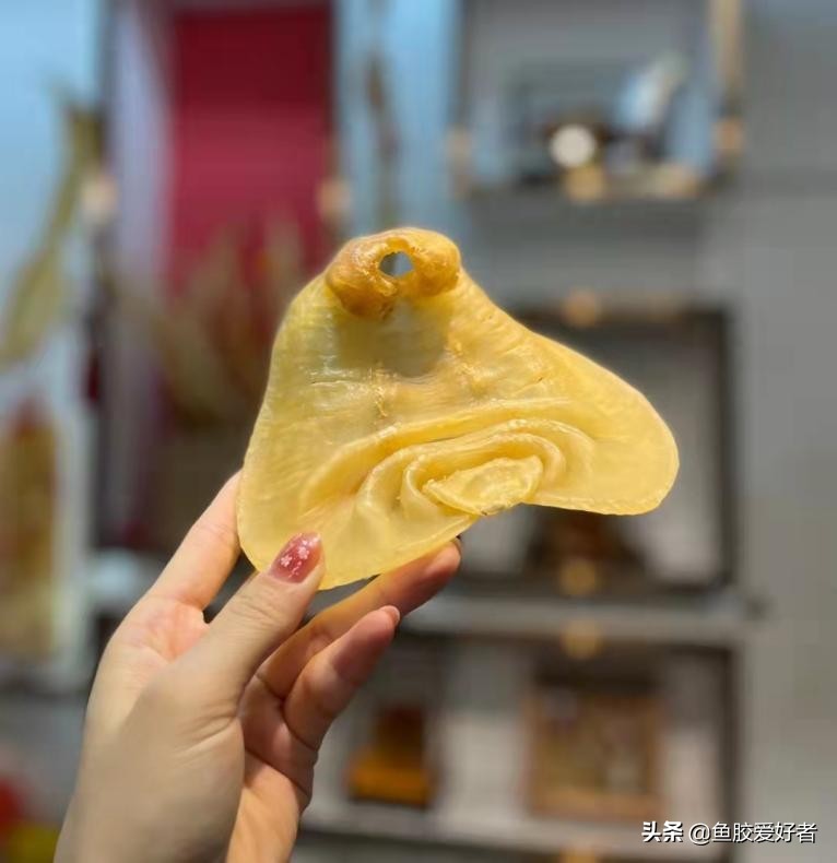 购买鱼胶之前这些常识你必须看看,不建议入手的鱼胶