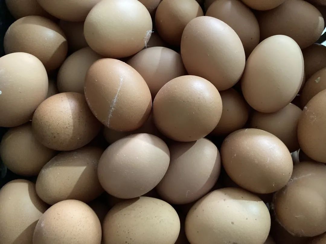 *党**建+乡村振兴|从年产优质鸡蛋180万斤到360万斤！东升村有个“大计划”