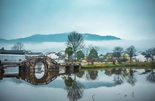 师徒情作文,师徒情深感人的文章