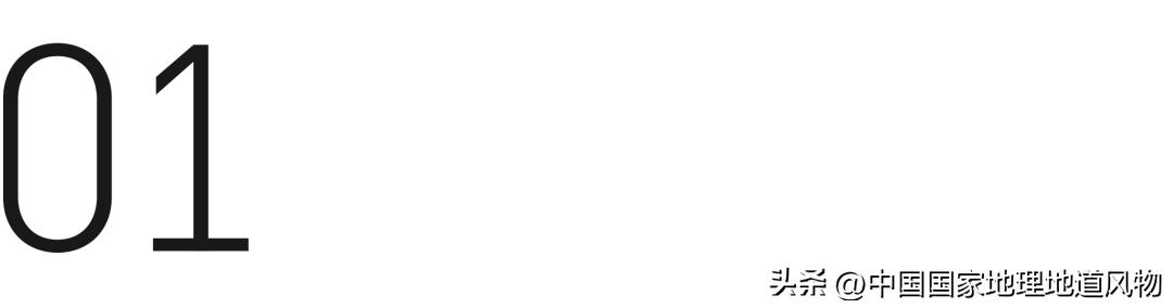 茅台酒的味道是香精调出来的吗,茅台酒的酱香是什么酱