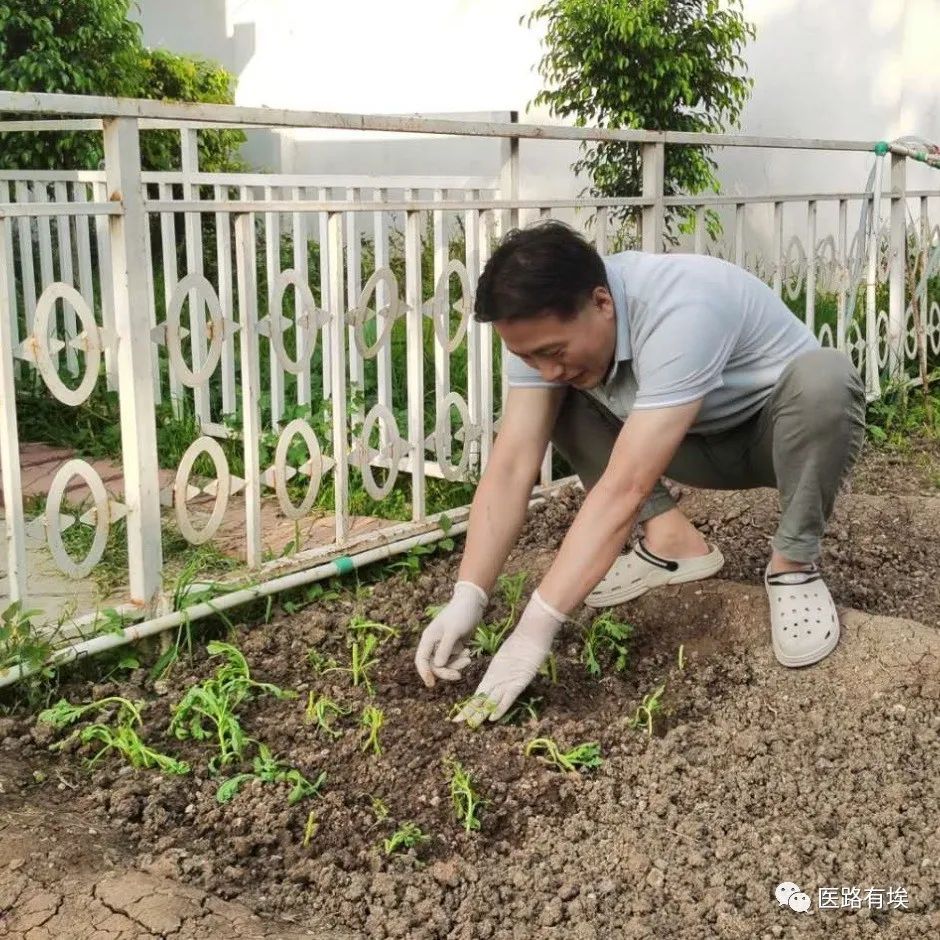 援外日记③丨万里之外的端午节