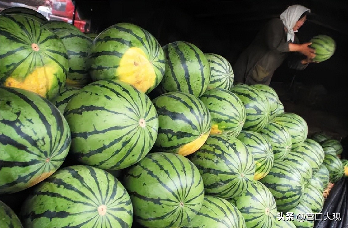 盖州市带货直播,盖州特产电商直播