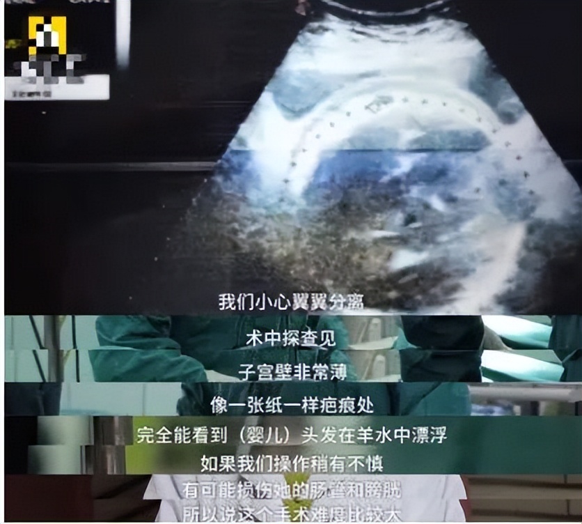 蒋丽莎和陈浩民近况,陈浩民和蒋丽莎最新视频