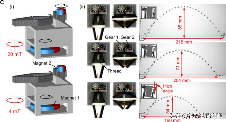 用于无线控制毫米级机器人的磁致动齿轮箱，其究竟有何作用