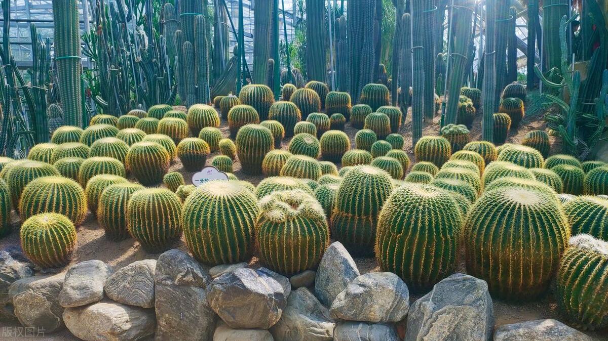 重庆亲子游必去十大景点,重庆璧山旅游十大景点