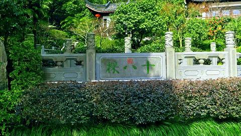 让生活过得去必须添点绿,要想生活过得去头上就得有点绿