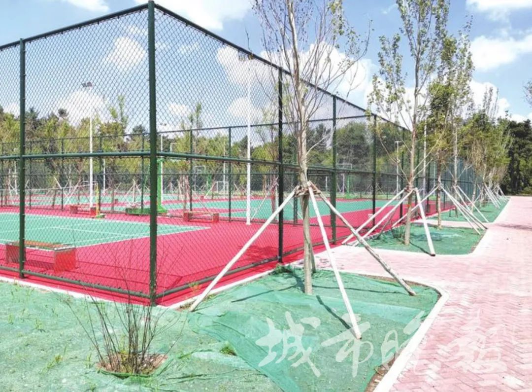 长春南湖公园跑马场,长春南湖公园沙滩改造