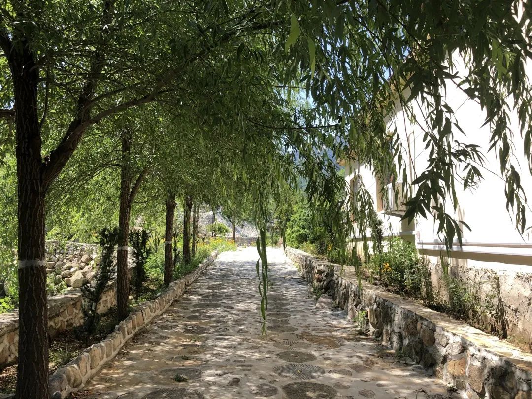 莱芜高庄旅游,莱芜高庄一日游玩攻略