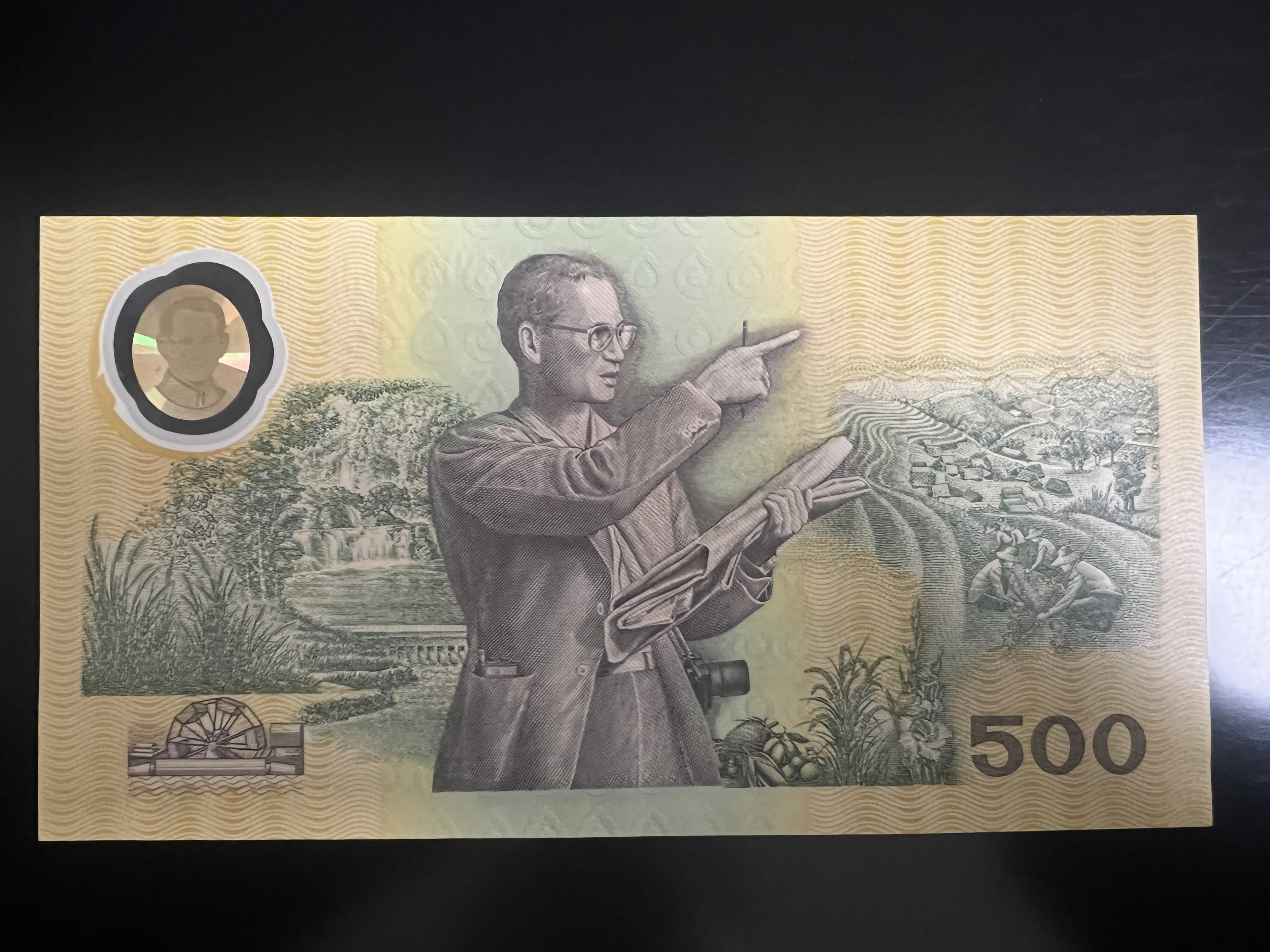 泰国100泰铢竖版纪念钞值钱吗,泰国九世王纪念钞