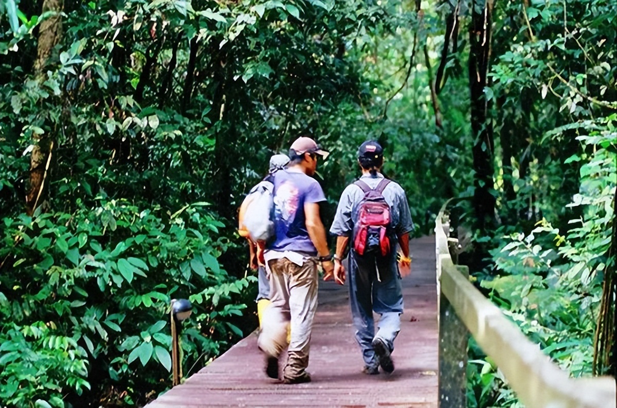 世外雨林,世外桃源热带雨林